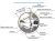 Станция ТОПОЛЬ 9 Плюс в Сосновом Бору