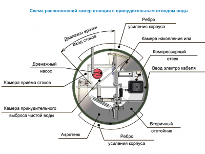 Станция ТОПОЛЬ 6 Пр в Сосновом Бору